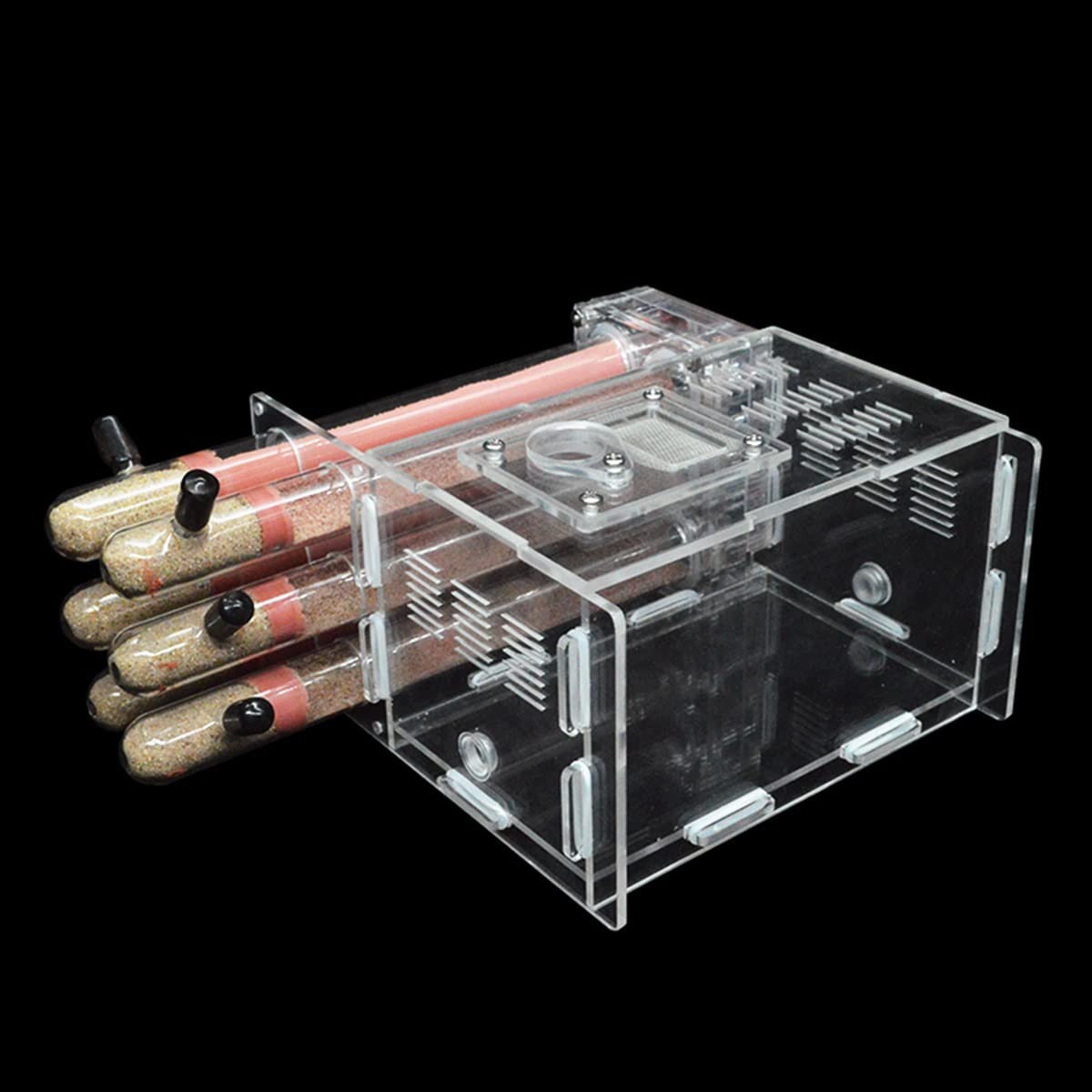 Formicario per formiche, Formica acrilica. Con 6 provette Razza Regina. Kit educativo 15x14,5x8,5 cm