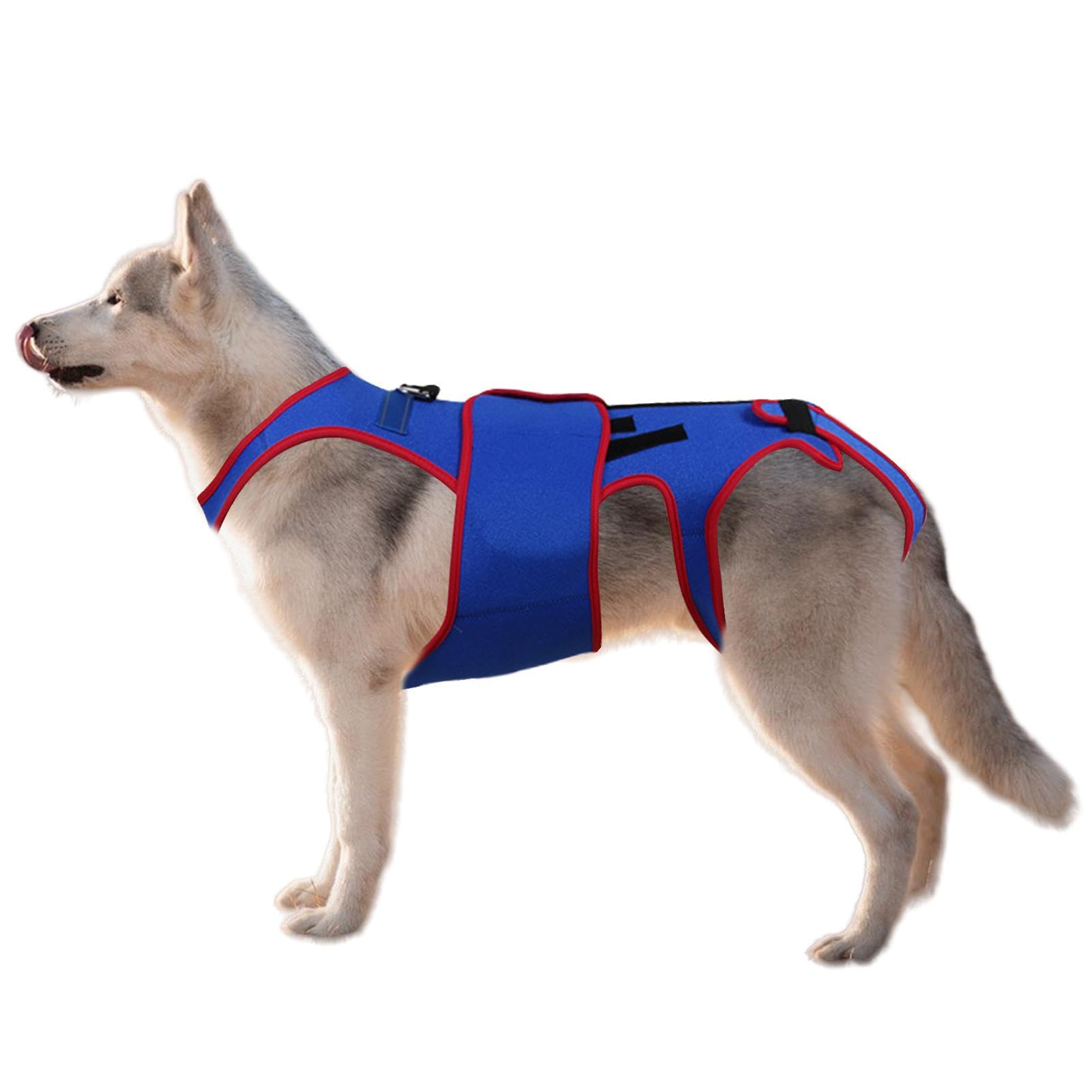 Tutore Per La Schiena Per Cani - Tutore Per La Schiena Del Cane, Anello A D E Strisce Riflettenti Il Tutore Per La Schiena Del Cane Aiuta A Dare Sollievo Dal Dolore, Supporto Morbido Per La Gamba