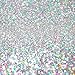 Hemway Premium Ultra Sparkle Glitter Multi Purpose Metallic Flake for Arts Crafts Nails Cosmetics Resin Festival Face Hair - Silver Holographic - Fine (1/64