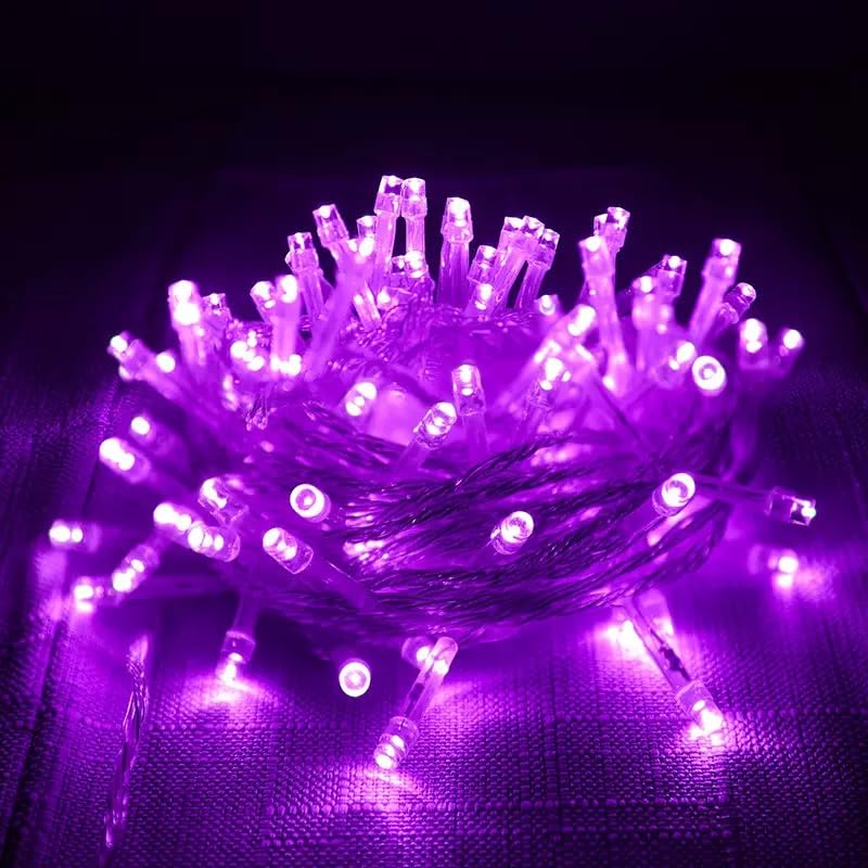 HHMTAKA Fairy Lights with 40 Warm White LEDs on 6m of Clear Cable (Purple)