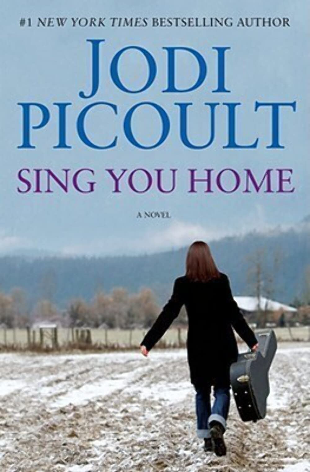 Cover of Sing You Home: A Novel