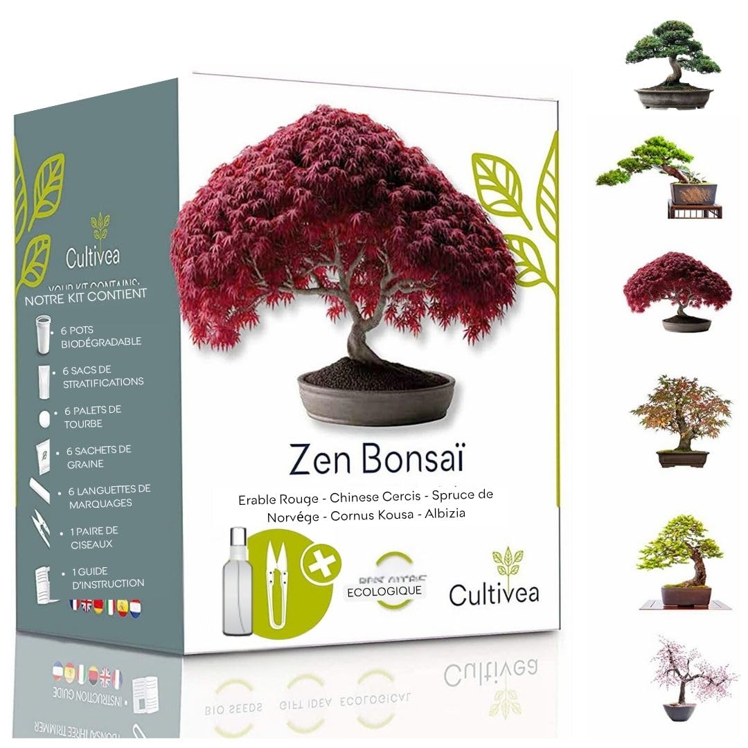 Cultivea Mini - Bonsai Ready-to-Grow Kit - Giardino e decorazione - Idea regalo (Mela rossa  Cercis cinese  Cornus Kousa  Albizia  Abete rosso)
