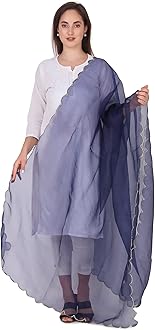 Traditions Bazaar Women's Organza Fabric Cut-Work Border Dupatta