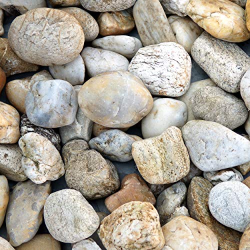 Preisvergleich Produktbild Zierkies Flusskiesel Bunt 32-63 mm a 25 kg