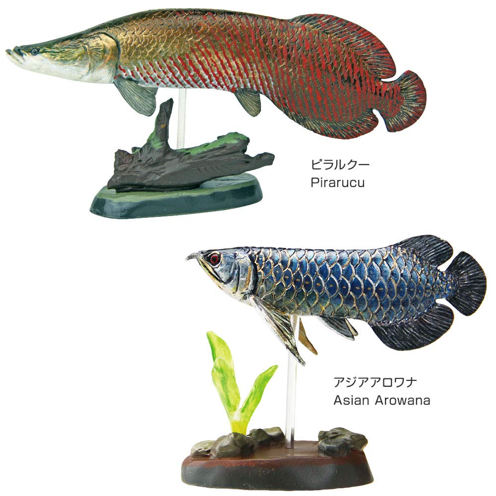 Amazon | カロラータ 古代魚 フィギュア 立体図鑑 (古代生物 / 7種 