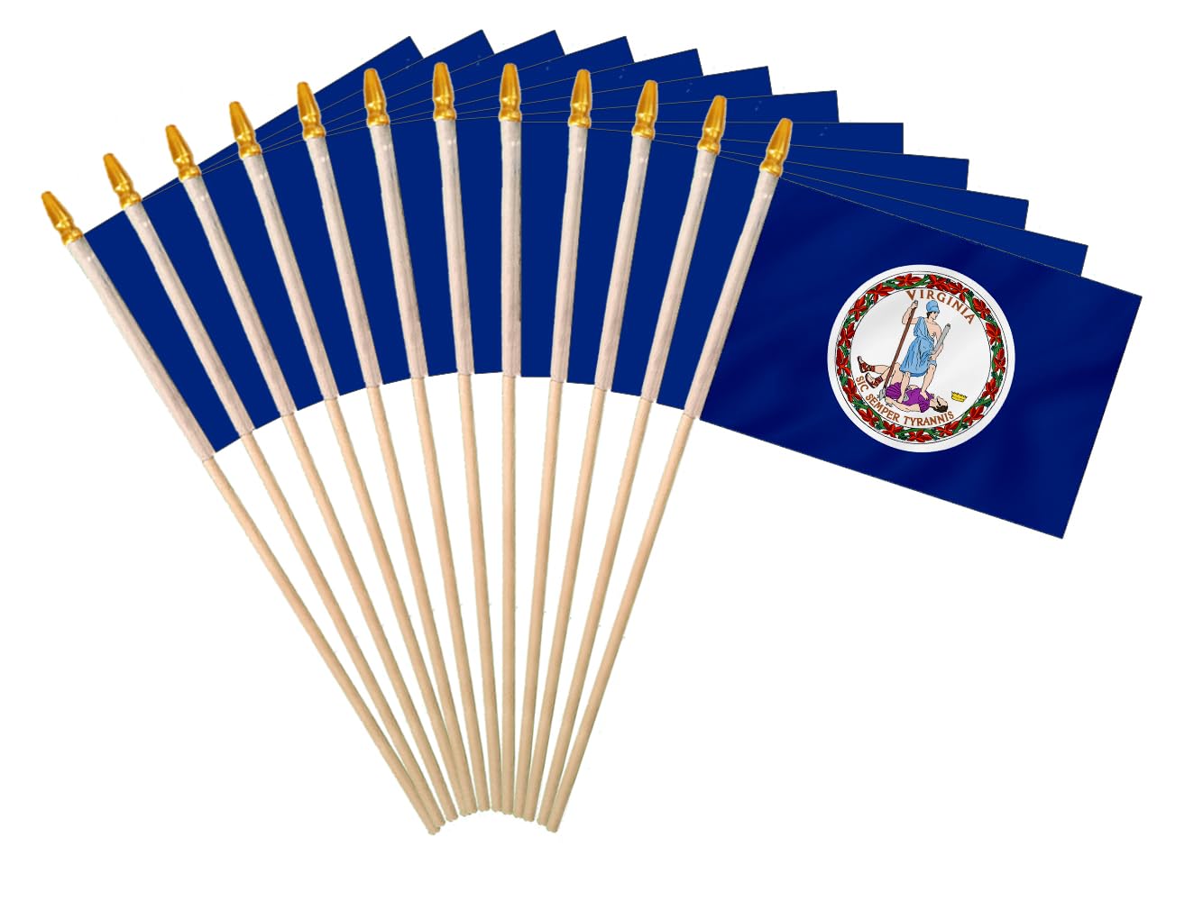Virginia State Handheld Stick Flag 6x9 Inch 12 Pack Small Mini VA Flag On Wooden Stick For Patriotic Festival Events Party Decoration (VA, 6x9 In)