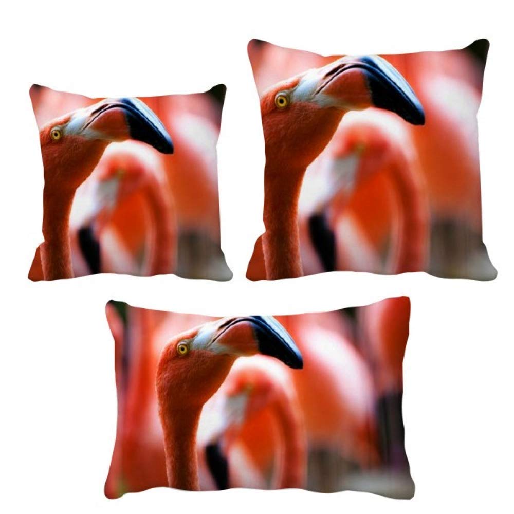 Housse de coussin flamant rose et rose sauvage DIYthinker