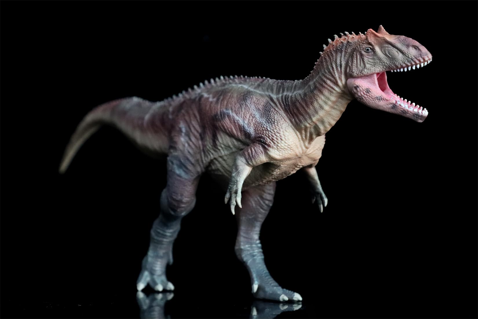 Amazon.co.jp: HAOLONGGOOD 1/35 サイズ アロサウルス 恐竜 可動