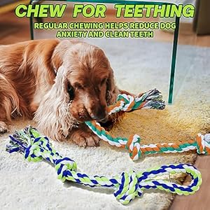   Upgraded-Dog-Rope-Toys-for-Aggressive-Chewers-Dog-Toys-for-Medium-Large-Dogs-Indestructible-Dog-chew-Toys-Tug-of-War-Dog-Toys-2-Pack-Heavy-Duty-Large-Dog-Rope-Toy-for-Large-Breed