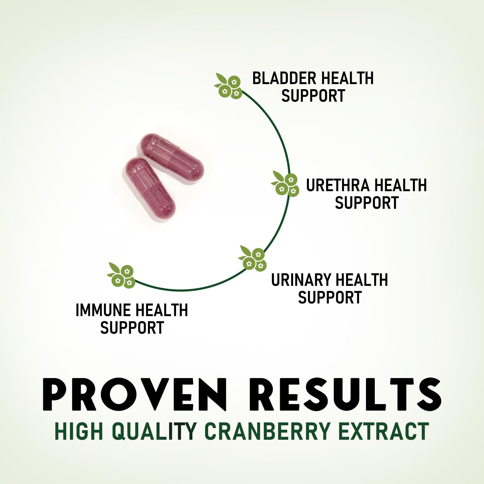 Cranberry Pills for Women & Men - 500mg Cranberry Extract Supplement & High Potency Vitamin C - 3x Strength Urinary Tract Health & Bladder Support - Vegan, Gluten Free - Bottled in USA - 120 Capsules — Amazon image 5