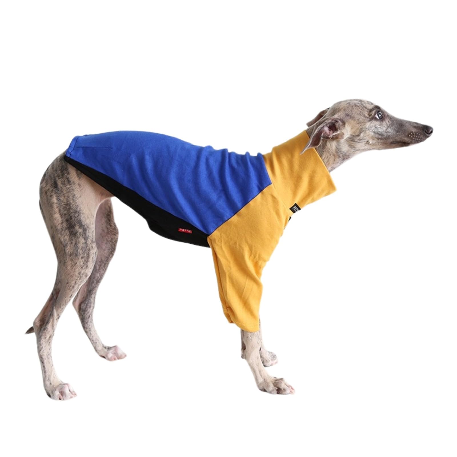 Italian Greyhound Whippet T-Shirt Jumper,Dog Tri-Color Sweatshirt Sighthounds Autumn Winter Spring Coat Skinny Dog Pullover Pajamas_XS(Yellow Blue) โ image 1