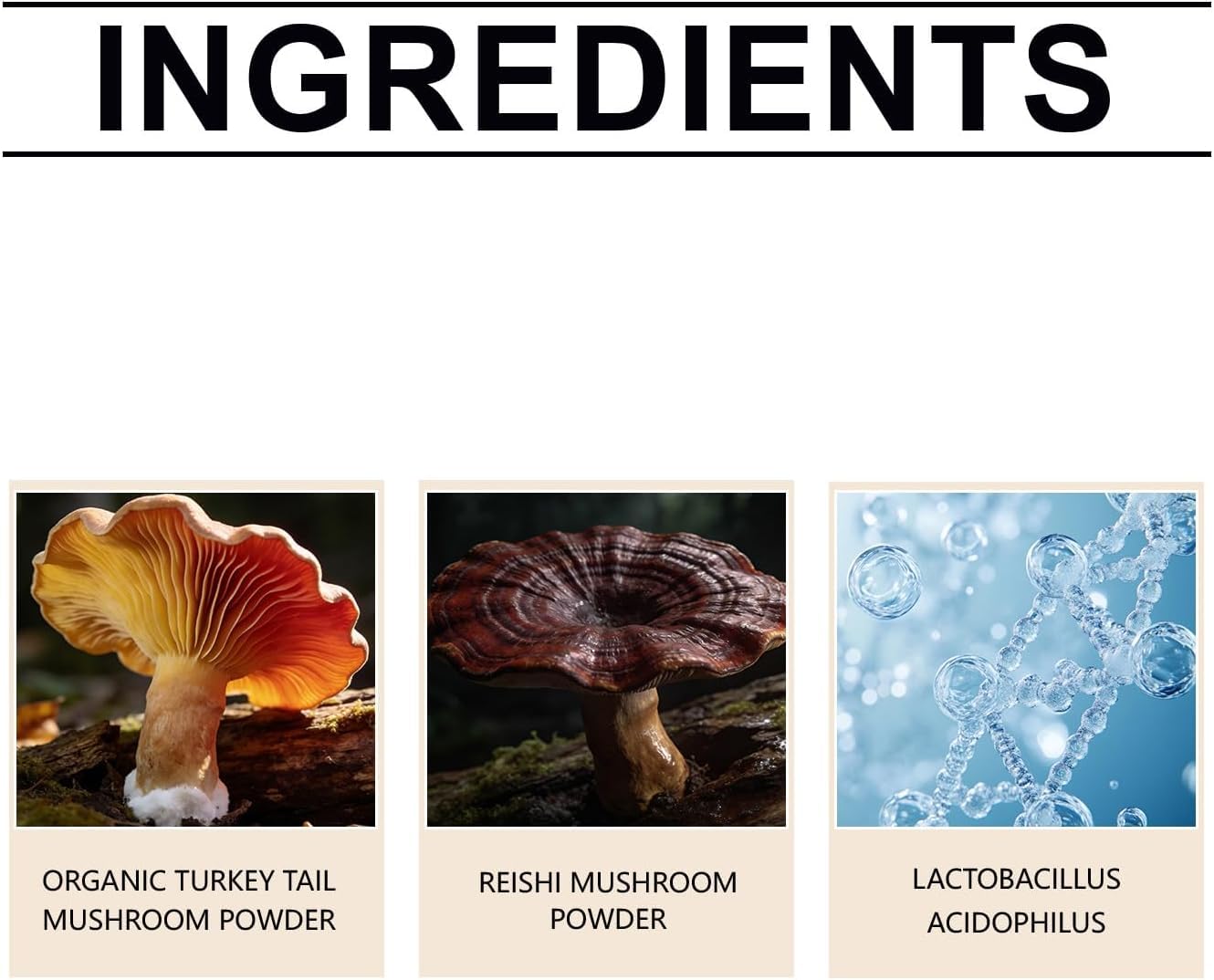 Turkey Tail Hund,Turkey Tail Mushroom Für Hunde, Nahrungsergänzung Für Hunde, Darmgesundheit, ImmunitäT & Vitalität,Unterstützt Die Verdauung,Für Die TäGliche Fütterung Alle Hunderassen (1PCS)