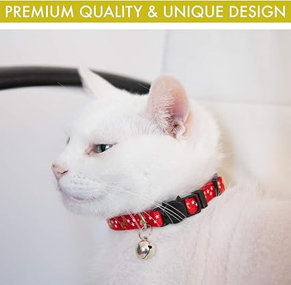 chanel cat collar