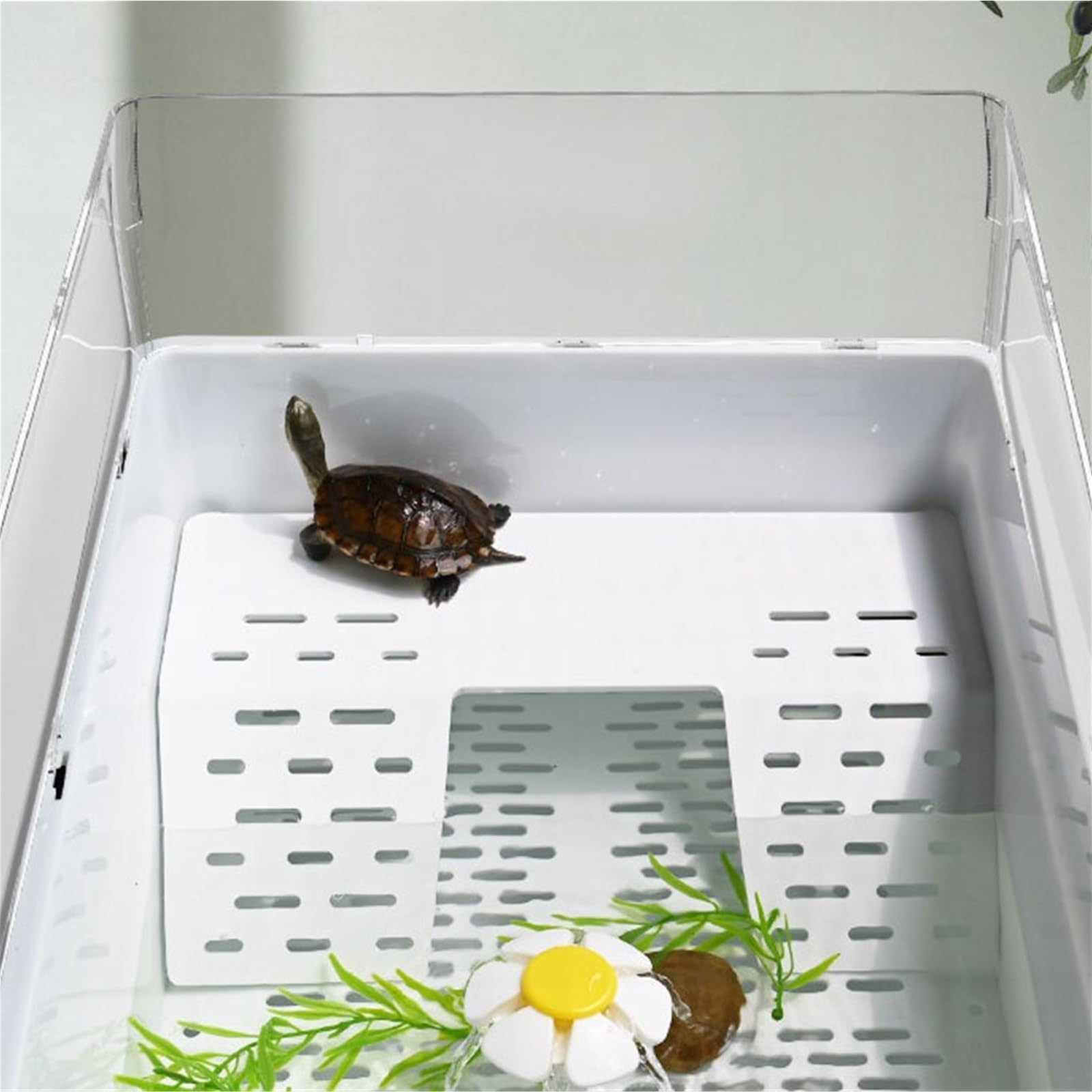 Siedlisko terrarium Dwuwarstwowy zbiornik odprowadzający wodę z oddzielnym żółwiem do użytku domowego Terrarium akwariowe
