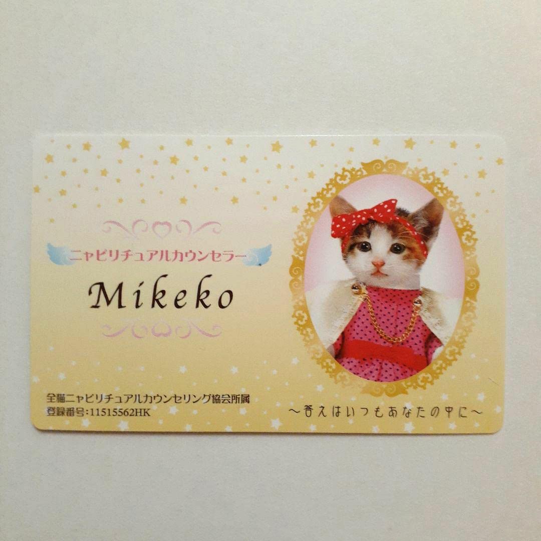 Amazon.co.jp: なめ猫 カード 4枚セット 猫まんま調理資格免許証 ねこ 