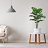 Product Photo 9