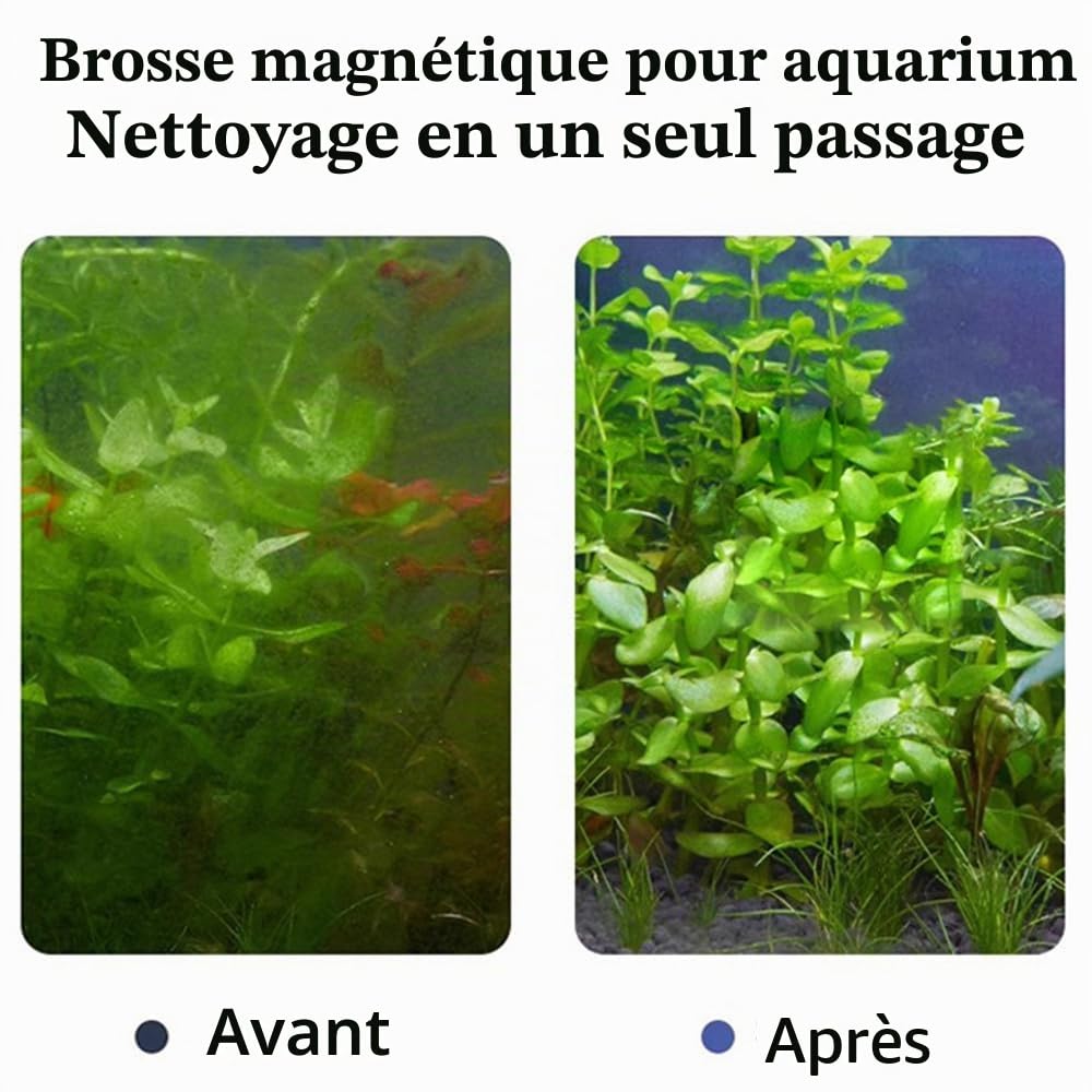 Brosse magnétique pour aquarium - 3 cm - Mini tampon de nettoyage pour aquarium de 3 mm à 6 mm d'épaisseur - Jusqu'à 40 l - Non flottante