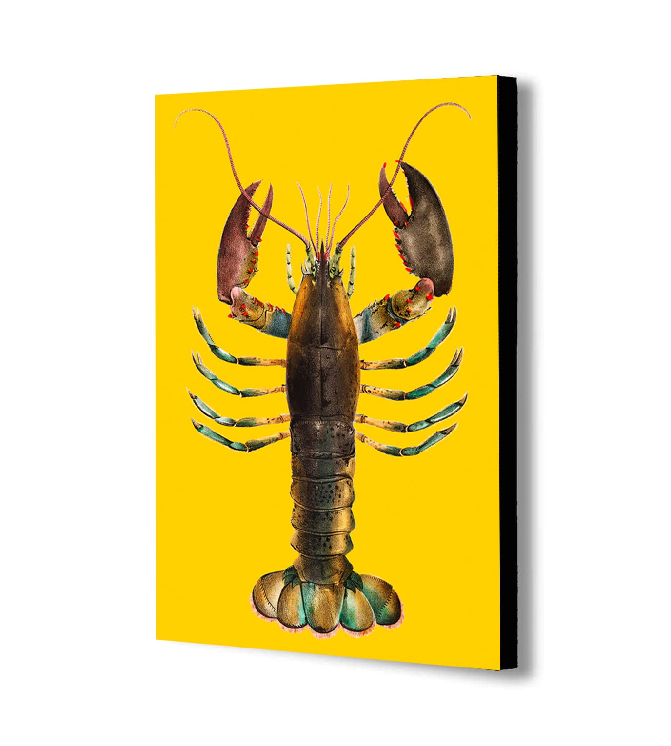 Aragosta Giallo - Stampa Su Tela Con Cornice - Varie Dimensioni (A4 30x20cm)