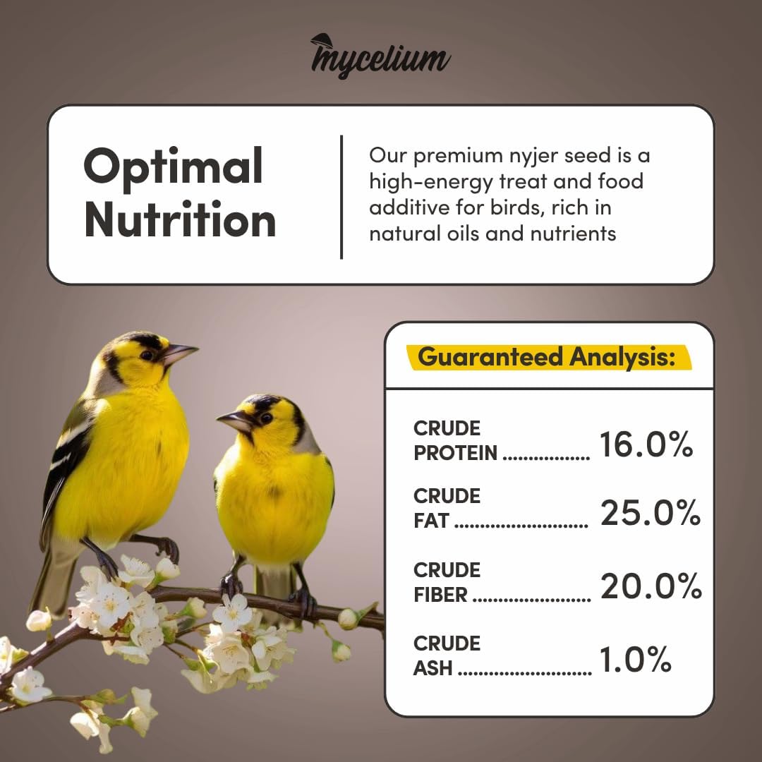 Mycelium Organic Nyjer Seed for Birds (5 LB Bag) | Finch & Songbird Wild Bird Food | Non-GMO Thistle Seed for Tube & Sock Feeders | Supports Brain & Heart Health | Debris & Dust-Free, Made in USA