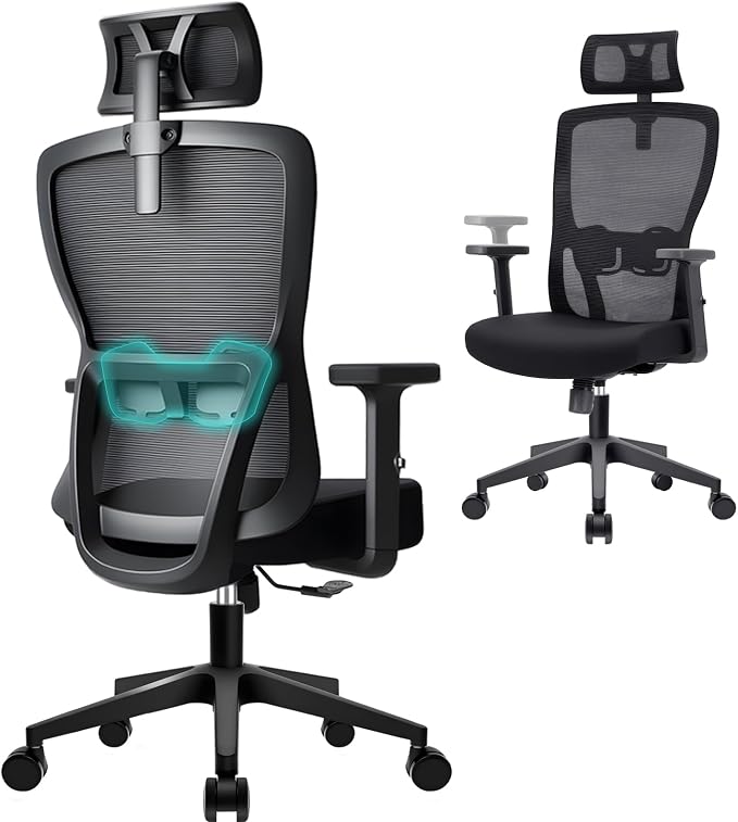 Hoolamyie Ergonomic Office Chair with Adjustable Headrest and Lumbar Support