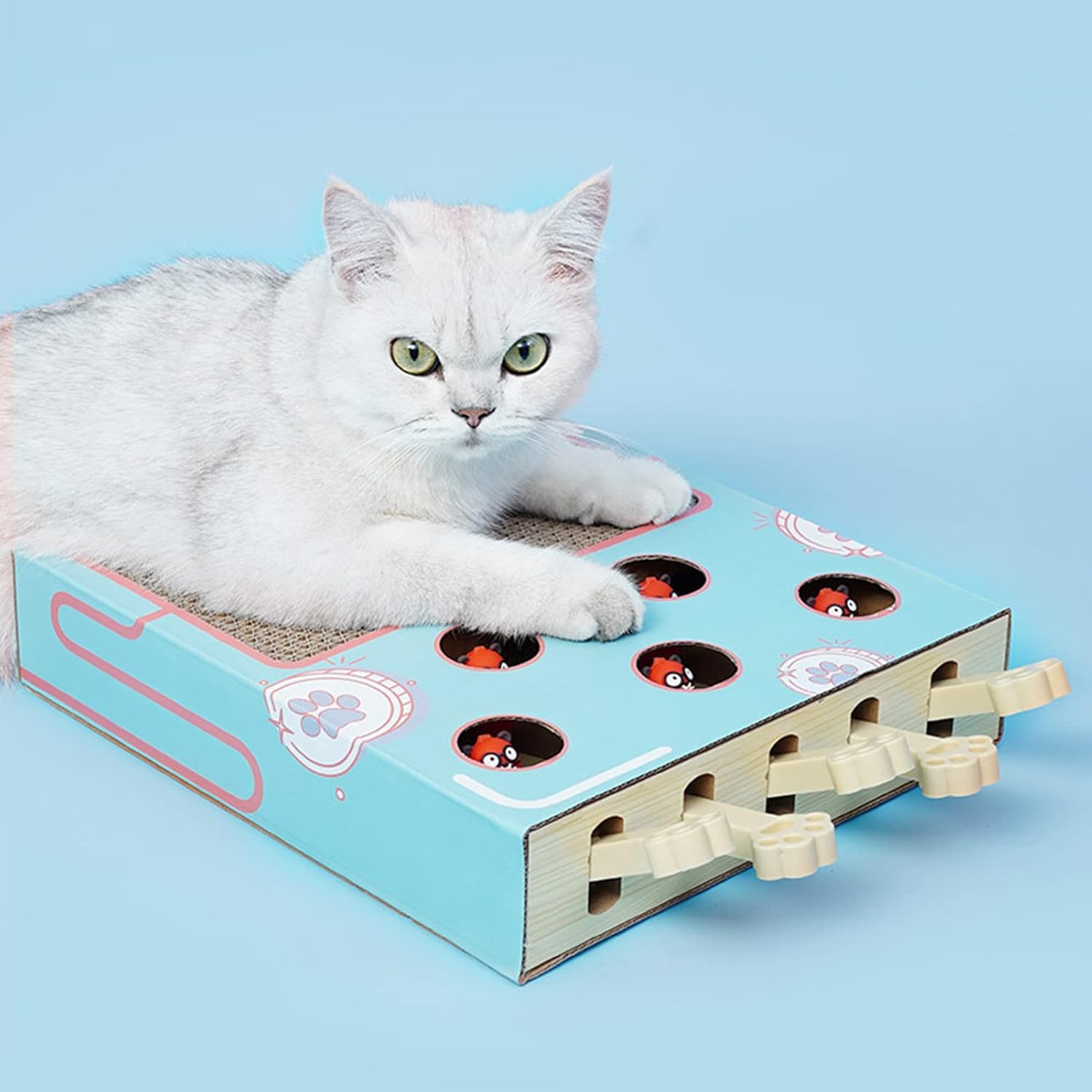 review Cat Scratcher Cardboard,Whack-a-Mole Cat Toy and Scratch Pad Made with Corrugated Cardboard | Interactive Cat Teaser Toys Train IQ for Indoor Cats and Kitten-Cat Supplies
