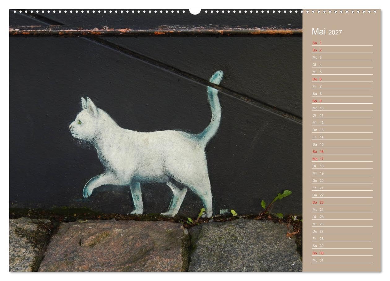 CALVENDO - Flensburger Katzen (hochwertiger Premium Wandkalender 2027 DIN A2 quer), Kunstdruck in Hochglanz: Flensburger Katzen - Streetart