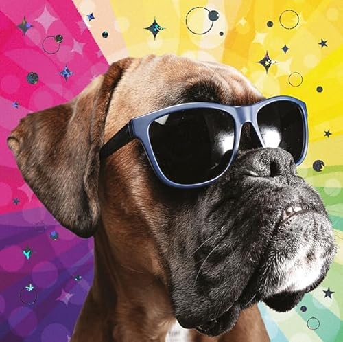 Nigel Quiney Funny Dog Birthday Card for Her/Him - Boxer Dog in Sunglasses - All Recipient - Amusing Birthday Greeting Card with Envelope