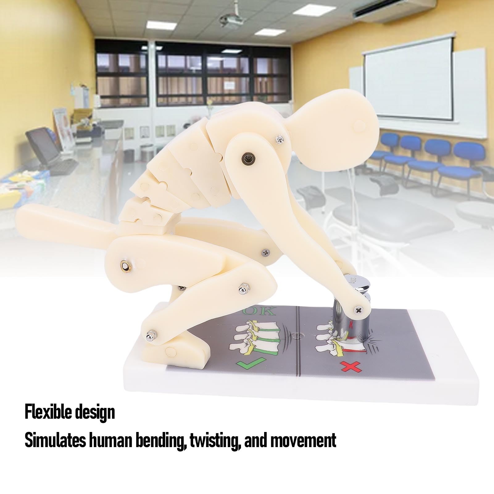 BRRNOO Modèle de Démonstration de Flexion, Modèle de Force de Levage de Poids ABS, Modèle de Démonstration de la Colonne Vertébrale Lombaire, Mouvement du Corps Humain, pour le Gymnase
