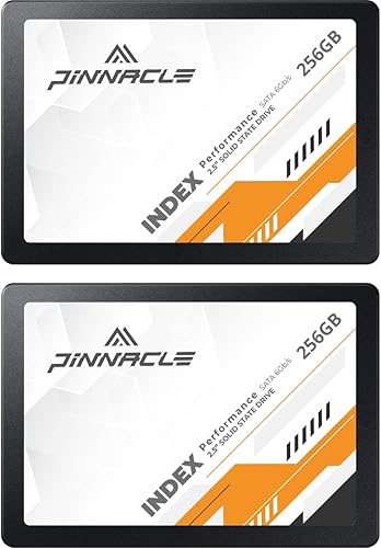 Timetec 256 GBx2 (paquete de 2) SSD 3D NAND SATA III 6Gbs 2.5 pulgadas 7mm (0.28") Velocidad de lectura de hasta 550 MBs SLC caché impulso de