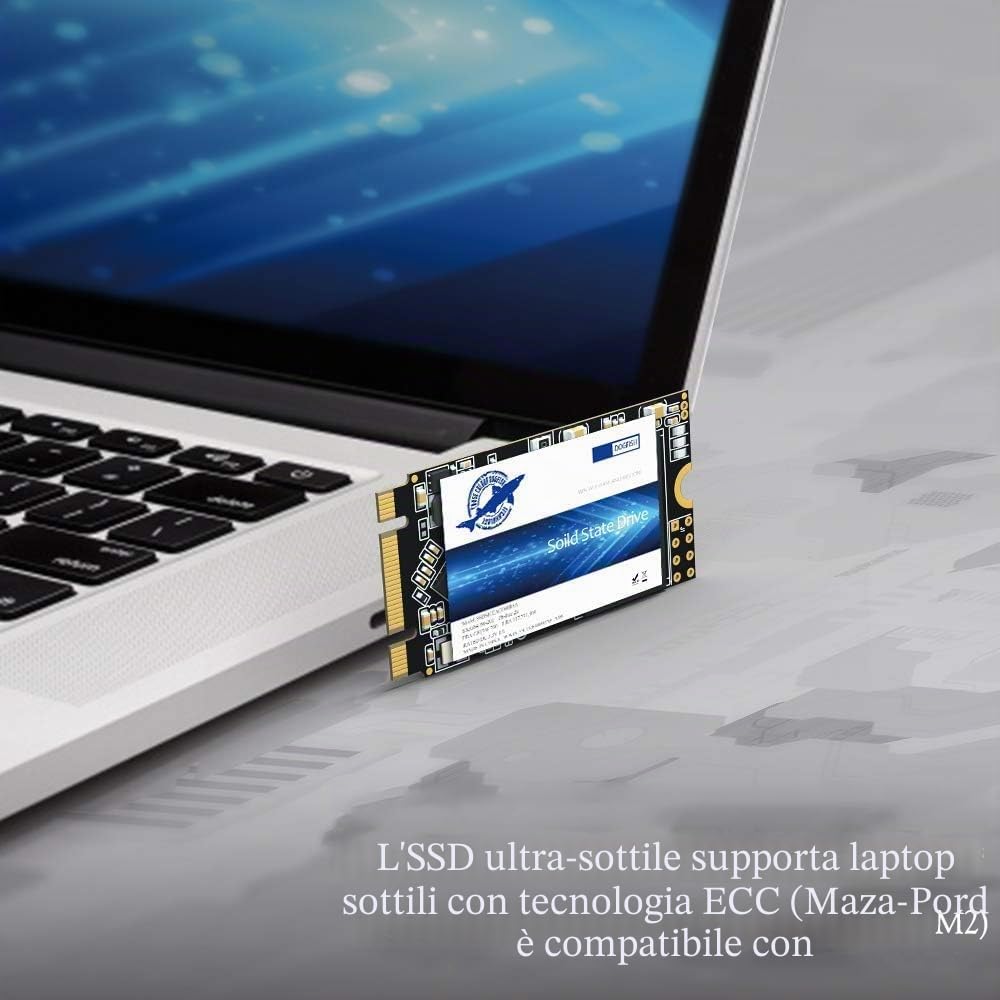 Dogfish SSD M.2 2242 250GB Unidad De Estado S?ido Incorporada Height PC Unit?a Stato Solido Integrata Interno MLC Desktop Laptop Hard Drive Disk m2(M.2 2242 250GB)