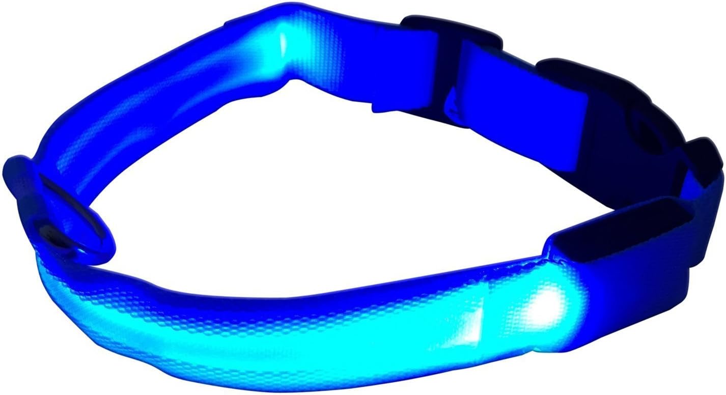 Reba Flashing Dog Collar Night Safety L Blue