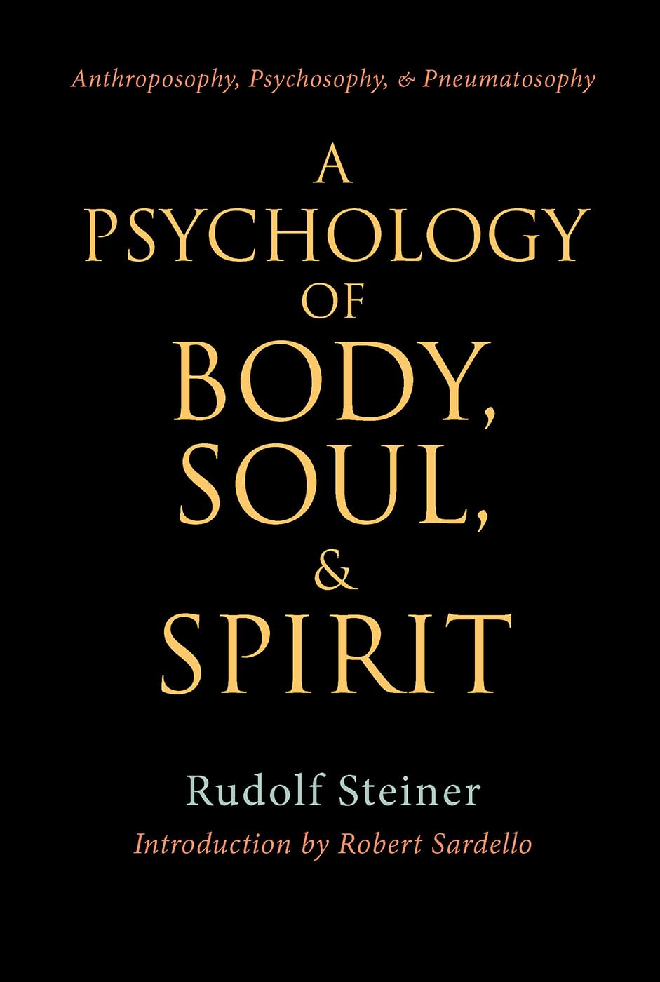 A Psychology of Body Soul and Spirit by Rudolf Steiner PAPERBACK 9780880103978