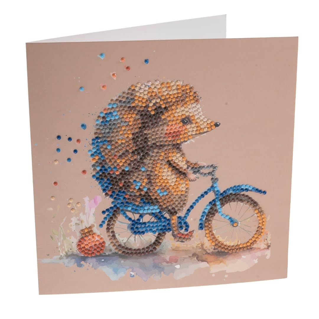 Crystal Art Hedgehog 18X18cm Card