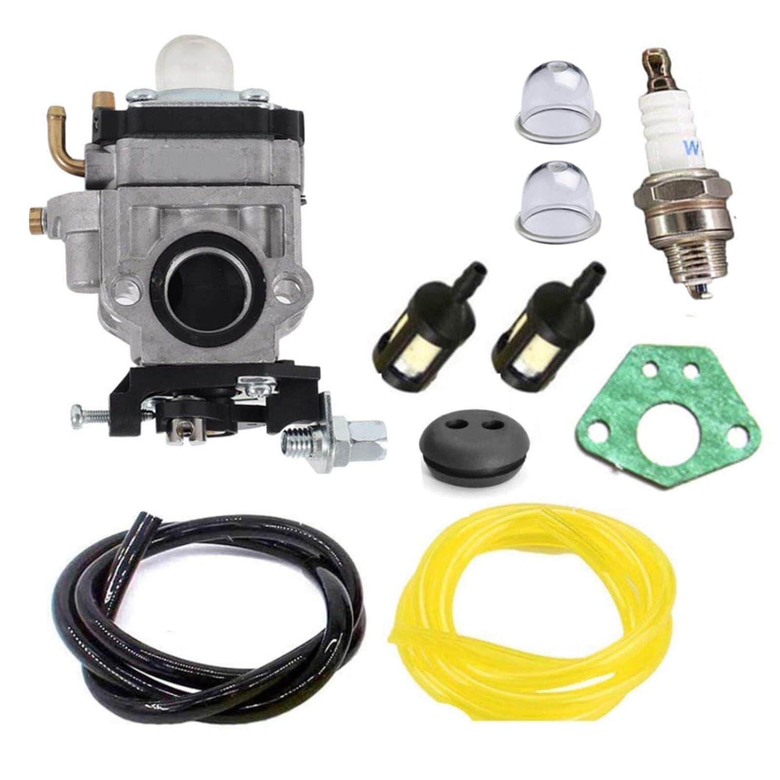 Carburatore Per Y43 Y2007 430025 – Con Guarnizione – Mini Motocoltivatore - Foto 5