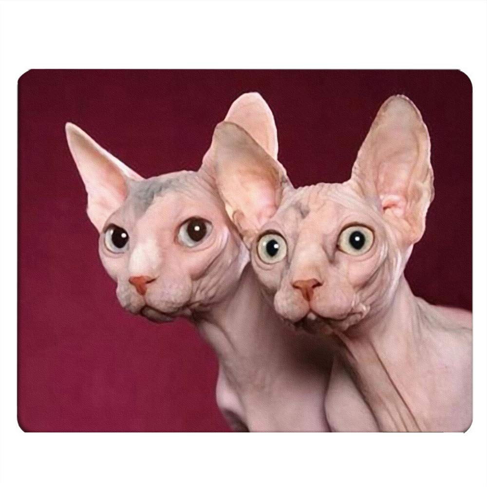 Nicokee Cat Gaming Mousepad Canada Hairless Cat Sphynx Mouse Pad Mouse Mat for Computer Desk Laptop Office 9.5 X 7.9 Inch Non-Slip Rubber
