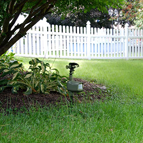 Havahart 5277 Critter Ridder Motion-Activated Animal Repellent & Sprinkler, 4 Pack - Thumbnail 2
