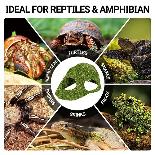 Repti Zoo REPTILE HIDEOUT Mossy Hide Cave, 10 Inch Humid Hideout For Leopard Gecko Ball Python Snake Lizard Hermit Crabs thumb #6