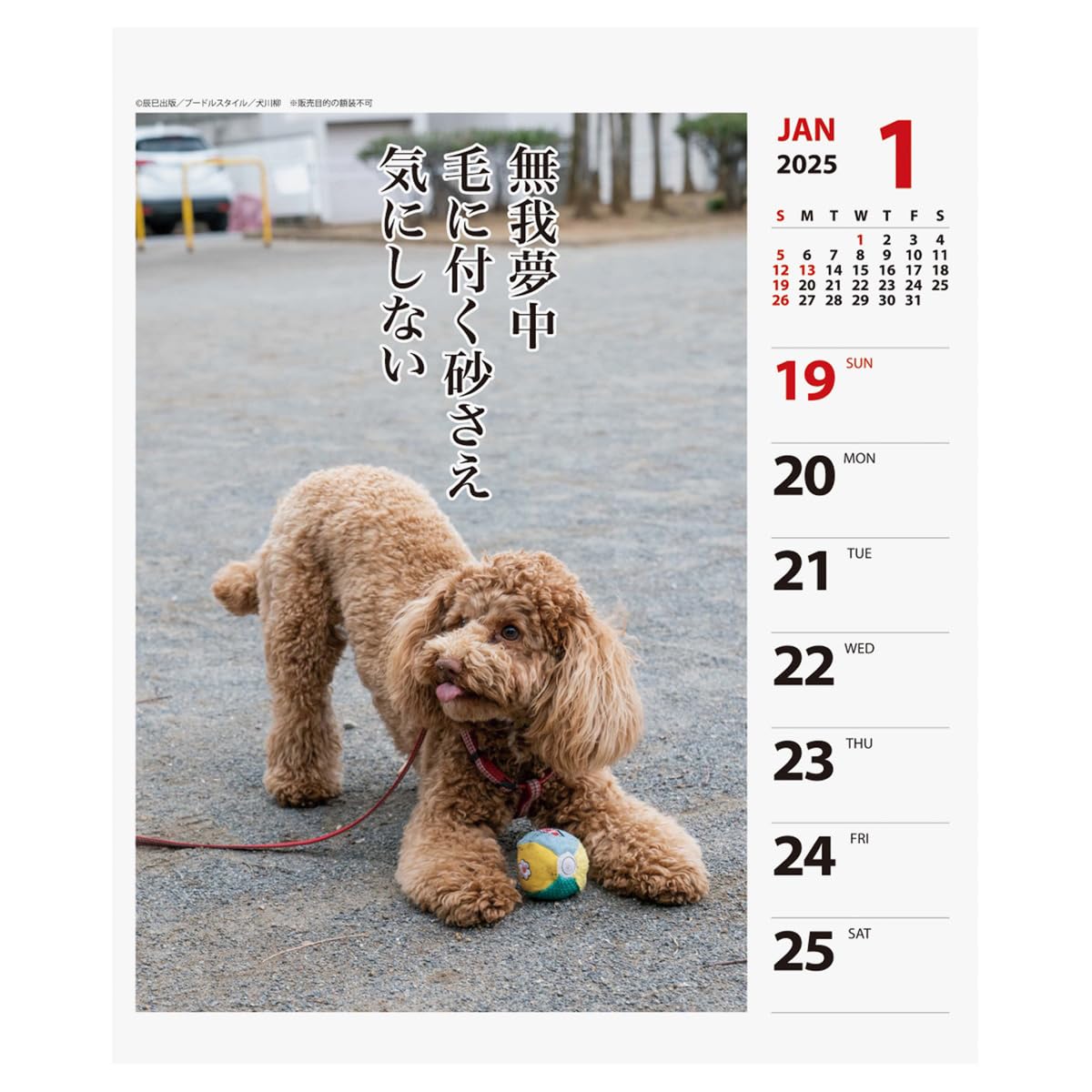 アンティーク プードルの日めくりカレンダー アンティークプードルの