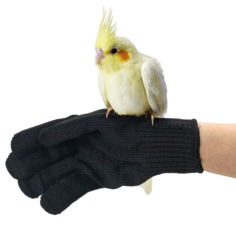 Luvas de Proteção para Manejo de Aves em Fibra de Polietileno e Fio de Aço Inoxidável Bac-kitchen, Pacote com 2 Pares