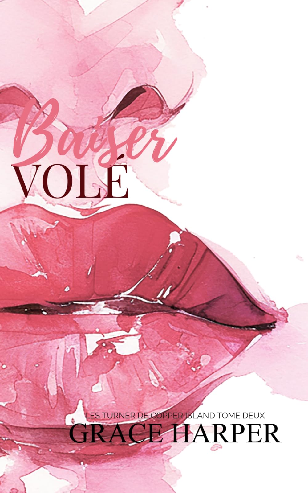 Baiser Volé (Les Turner de Copper Island)