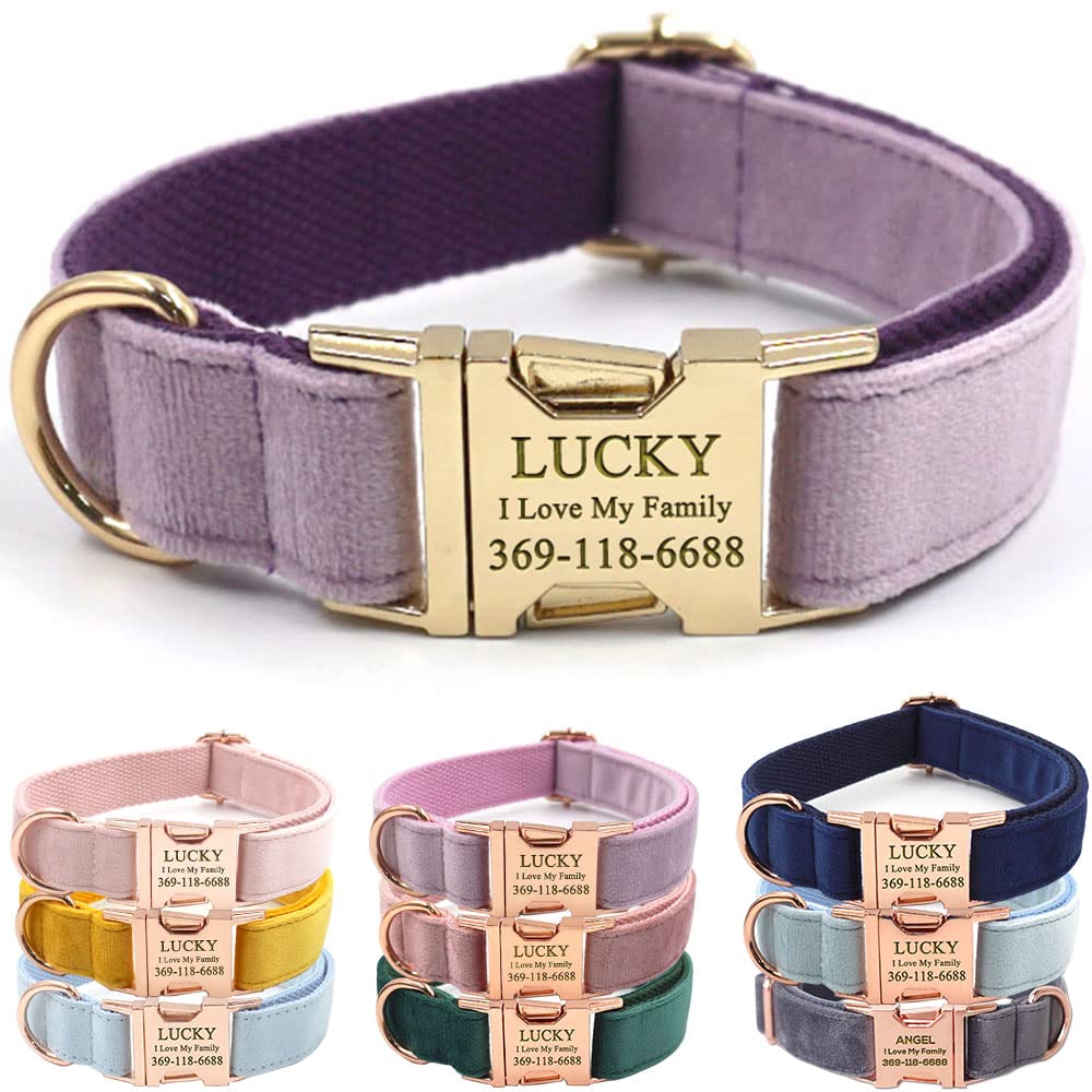 PETDURO Personalized Dog Collar Lavender Soft Velvet for Large Medium Small Boy Girl Dogs - Custom Collar with Name Phone Number Engraved on Gold