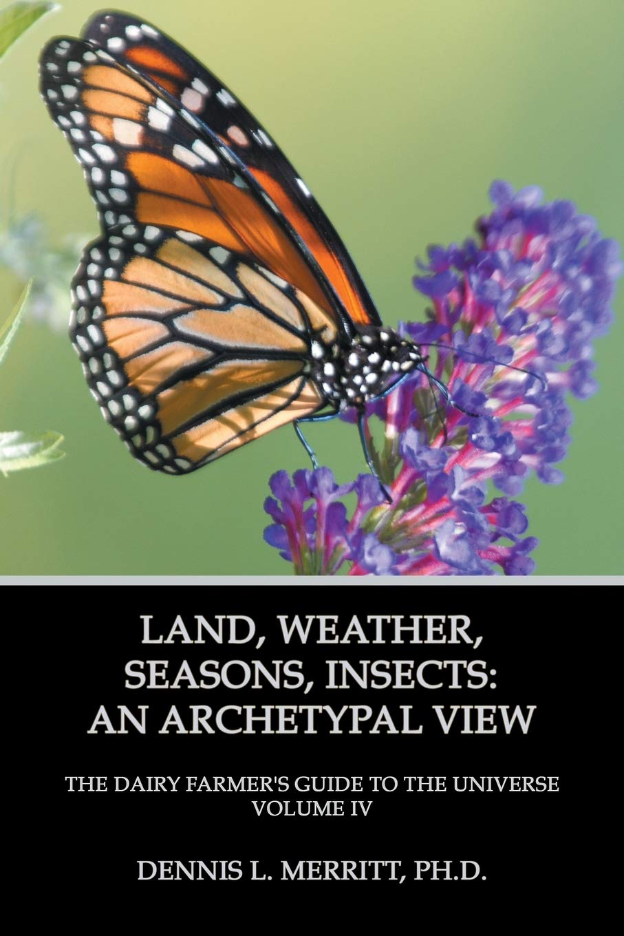 Land, Weather, Seasons, Insect: An Archetypal View