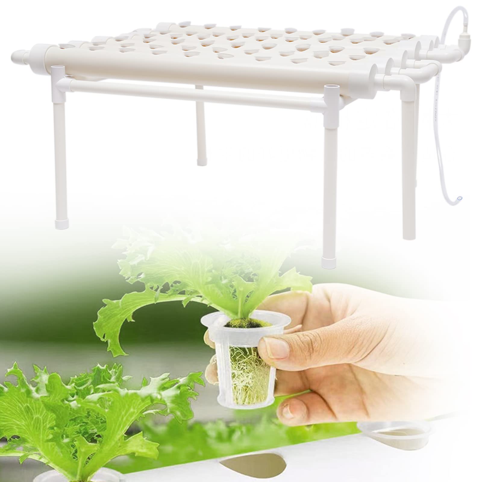 Hydrocultuur potten - Groente planten - Orchideeën kweken - Bodemloze