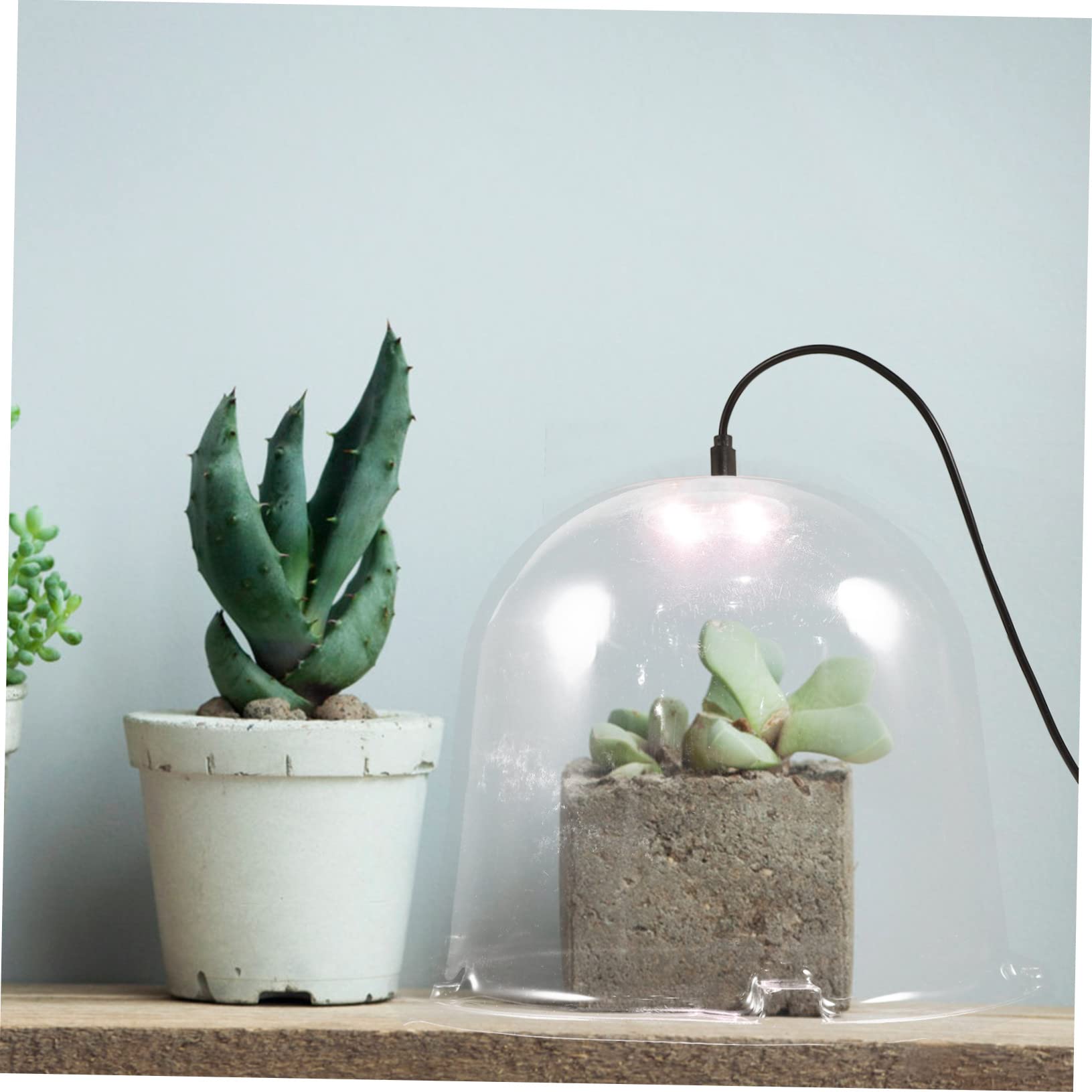 Toyvian 5 Stück Teiliges Pflanzenschutz Pet Transparente Gewächshausabdeckung für Topfpflanzen Schützt Frost für Gartenliebhaber und Pflanzenpflege