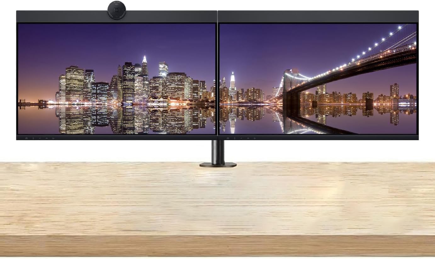 Amazon.com: Dell P2424HEB 24-inch 1080P Monitor, 2-Pack P2422HE