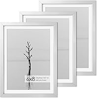 Vista 286 de Fun Memories Portarretratos de metal de 16 x 20 pulgadas con paspartú de 11 x 14 pulgadas, acabado de aluminio cepillado, parte delantera de vidrio