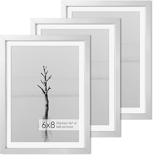 Miniatura 286 de Fun Memories Portarretratos de metal de 16 x 20 pulgadas con paspartú de 11 x 14 pulgadas, acabado de aluminio cepillado, parte delantera de vidrio