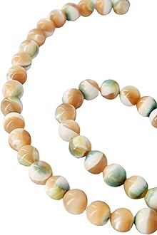 夜光貝5個セット 夜光貝5個セット