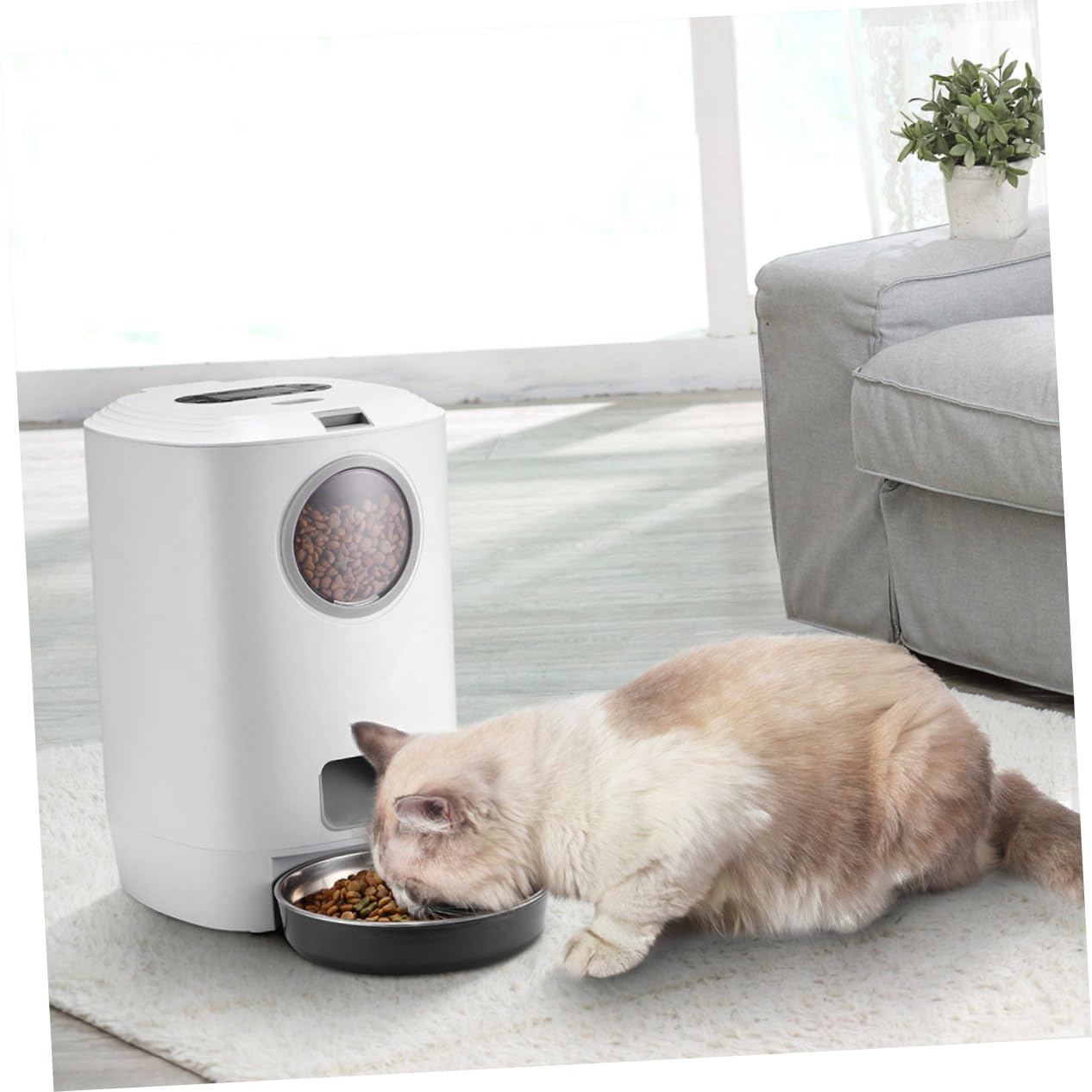 4,5L Automatischer Futterspender für Katzen Hunde mit Sichtfenster
