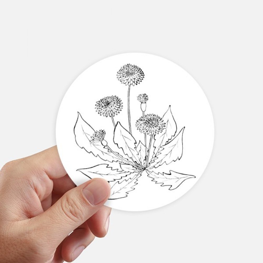 Autocollants Pissenlit Fleurs Blanches 10CM Sticker Moto Valise Mur 8Pcs